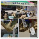 물맞이공원 이미지