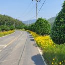 정곡선착장(정곡마을) 이미지