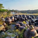 기장군농업기술센타 이미지