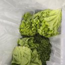 디케이 구내식당 | 임산부 오메가3 용량 꼭 챙겨먹는 임신준비할때 영양제