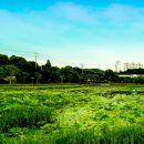 양산호수공원 이미지