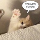 (주)CTR | [웅진씽크빅X러닝스푼즈] AI를 활용한 마케팅 서포터즈 9기 7주차 후기