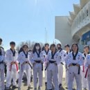 서울 은평 태권도 이미지