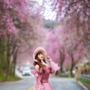 수양 이미지