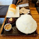 탈빙고