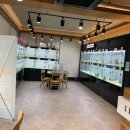 러브애견 이미지