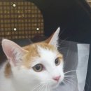 곰곰동물병원 이미지