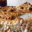 도우개러지 이미지