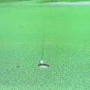 다올스크린골프 이미지