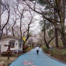 천주산 입구 이미지