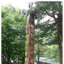 6월 21일 청계산 맑은 숲 공원에 다녀왔어요. 이미지