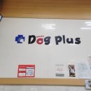 도그플러스 애견미용 이미지