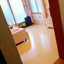 칠백민박 | [제주여행] 3박 4일, 제주여행을 떠나요! - 뚜벅이 여행 1,2일차 (비행기 표, 루트 포함)