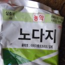 웃밭 네이버블로그