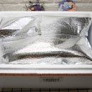 샘물야채청과 | 심방골주부의 베스트 요리! 더반찬& 에서만 맛볼수 있어요