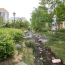 고운뜰길 이미지