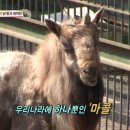 종보농장 이미지