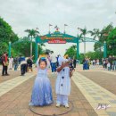 307003 | 해외여행자보험 추천 가격 비교 캐롯 가입 후기