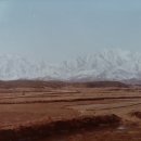 수생약국 이미지