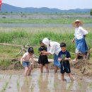 이창근농장 이미지