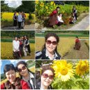 강천마을 이미지