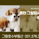 호수65공인중개사사무소 이미지