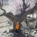 일등요양병원 | 2025년 안녕.