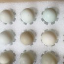 봉화농장 이미지