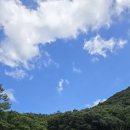 달하노피곰 캡슐호텔 이미지