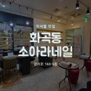 소-네일 | 화곡동 네일샵 자석젤 맛집｜1인샵 소아라네일 후기