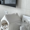 토토펫 하우스 | 펫테리어 강아지 집 추천 | 아우스리푸 인포멀 하우스 내돈내산 후기