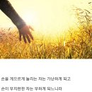 진일목장 이미지