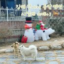 시밀레스테이 이미지