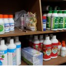 중앙농약사 이미지