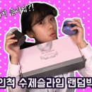더늘솜