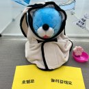 돌봐줄개 이미지