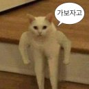 지누한상 | seasons - wave to earth / 서로의 계절