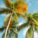 요가와 스트레칭 이미지