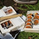 돌담 너머 하늘 이미지