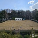 수정1배수지공원 이미지