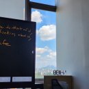 지에스25 동탄성심병원점 | [캐나다 워홀] D-day 드디어 출국, 웨스트젯 캘거리 직항, 캘거리공항 입국심사