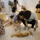 CATS TIME CAFE 이미지