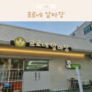 프로애견 | 애견카페 프로네앞마당 방문 후기 주말 울산 아이랑 갈만한곳
