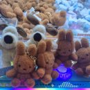 수원-1146 | 수원인계동나혜석거리 구들짱황소곱창 내돈내산 후기