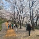 팔달산로 이미지