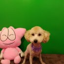 연성동주민센터 이미지