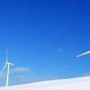 삼양수산 이미지