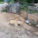 머물인 어우림 이미지