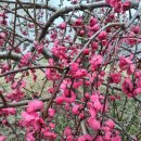 산빛길 | 문학춘추작가회 진도 운림산방을 찾아서