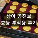 에이치디에스자산관리 노동조합 | 상아 공진보 효능 효과 부작용 복용법 성분 내돈내산 후기